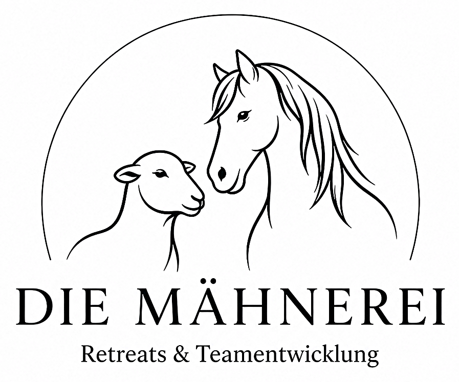 Teambuilding Firmenevents Yoga Auszeit Schafe Leipzig Halle